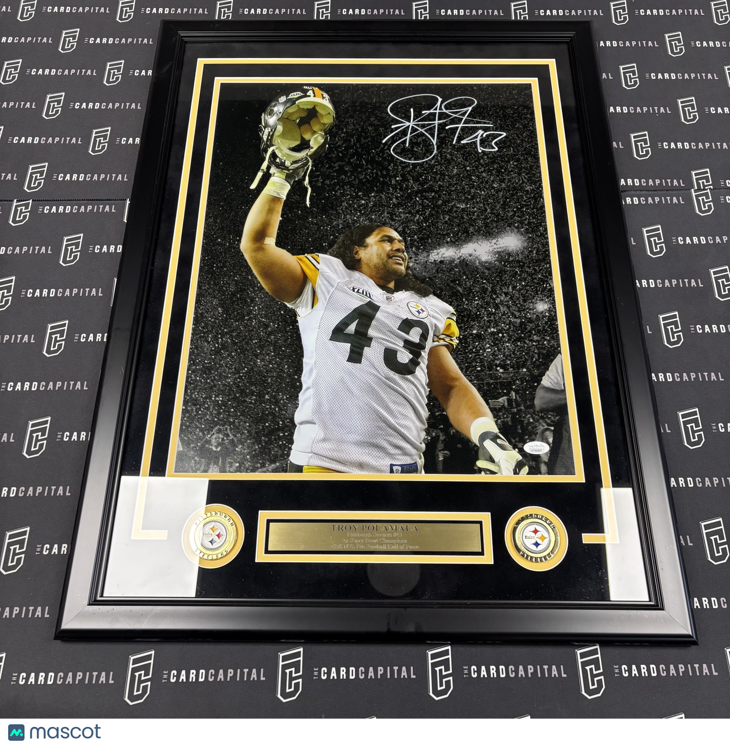 Troy Polamalu Signed 16x20 Steelers Framed and Matted