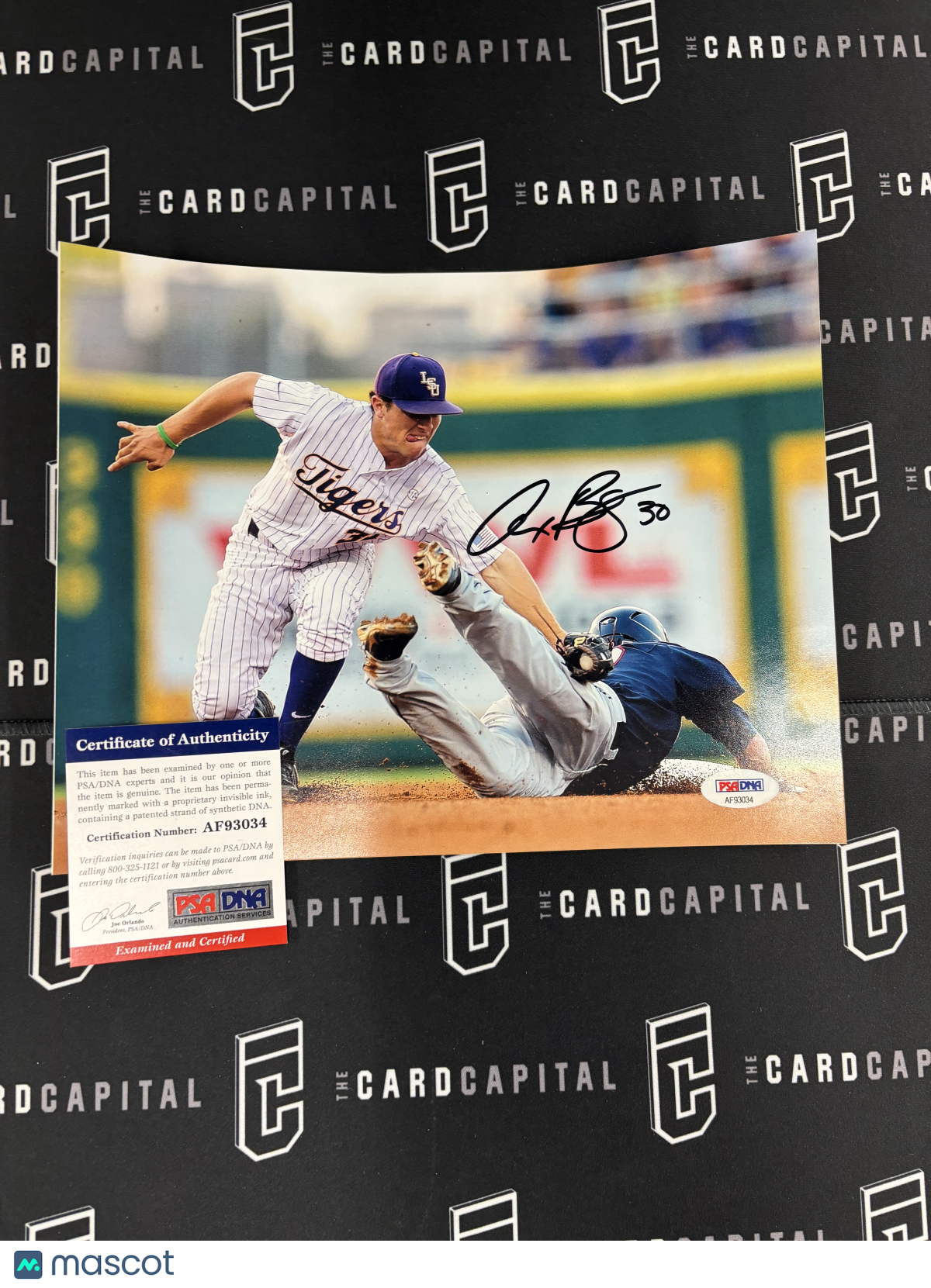 Alex Bregman Signed 8x10 LSU PSA