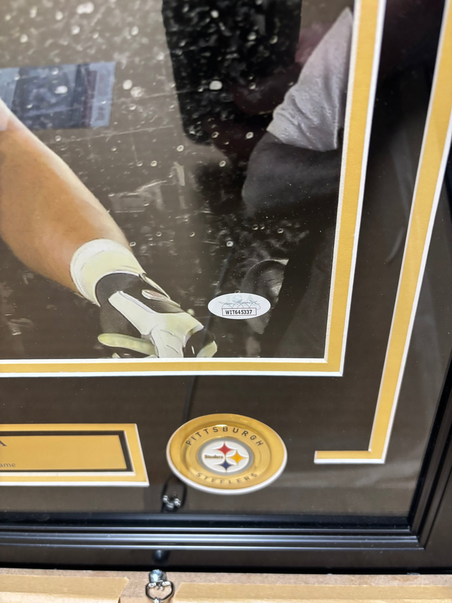 Troy Polamalu Signed 16x20 Steelers Framed and Matted