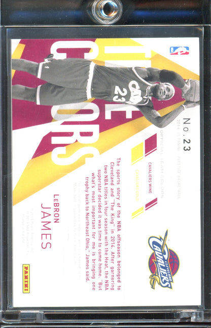 2014 Prestige LeBron James True Colors Jersey 01/75 GAME USED