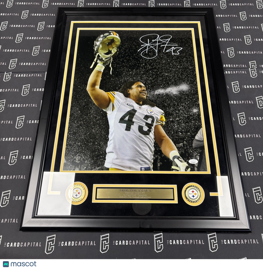 Troy Polamalu Signed 16x20 Steelers Framed and Matted